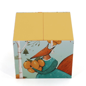 Double Door Cosmetic Gift Box with Custom Illustrated Printing & Insert
